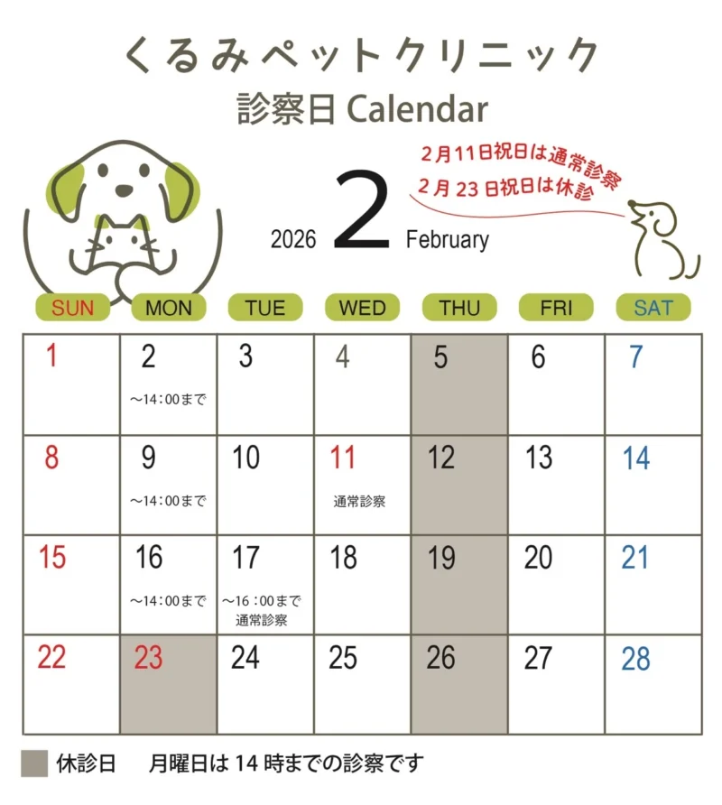 2月の診察のお知らせ(2026年)～くるみペットクリニック